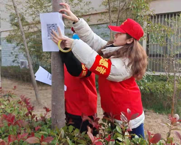 虞城县大学生志愿者: 在疫情防控中筑起“青春防线”