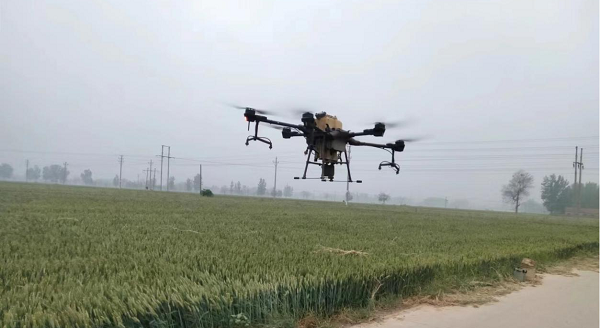 大侯乡：无人机助力小麦“一喷三防”，确保夏粮增产增收